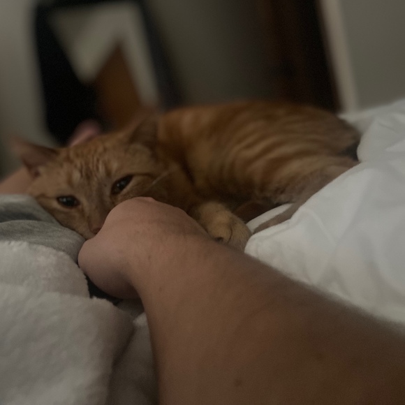 Meet your Posher, Tim - Picture 1 of 1